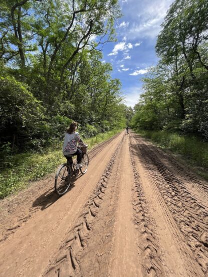 Activities bici