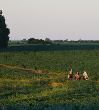 Copia de DSC_1905